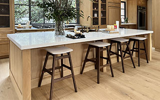 An image of a kitchen with Super Classico Granite Countertops.