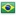 An icon size image of the Brazilian flag.